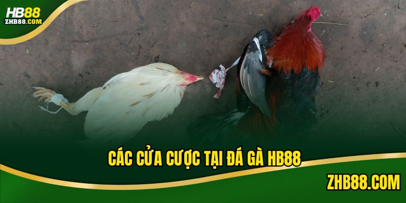 3 cửa cược tại đá gà HB88